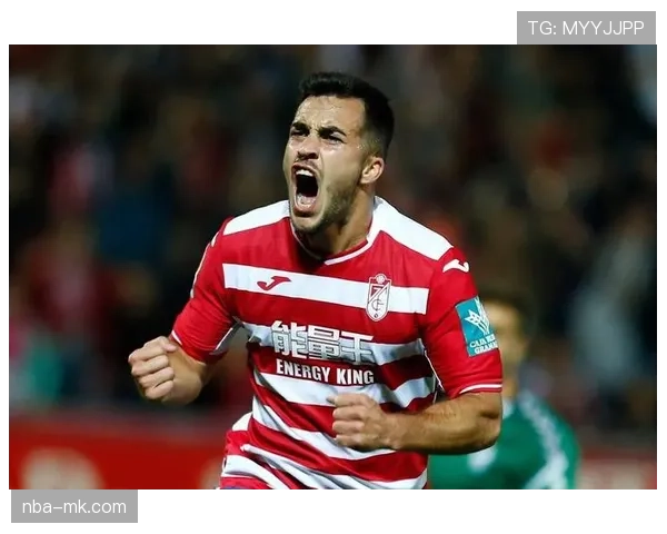 格拉纳达0-2不敌皇家社会,保级形势进一步恶化